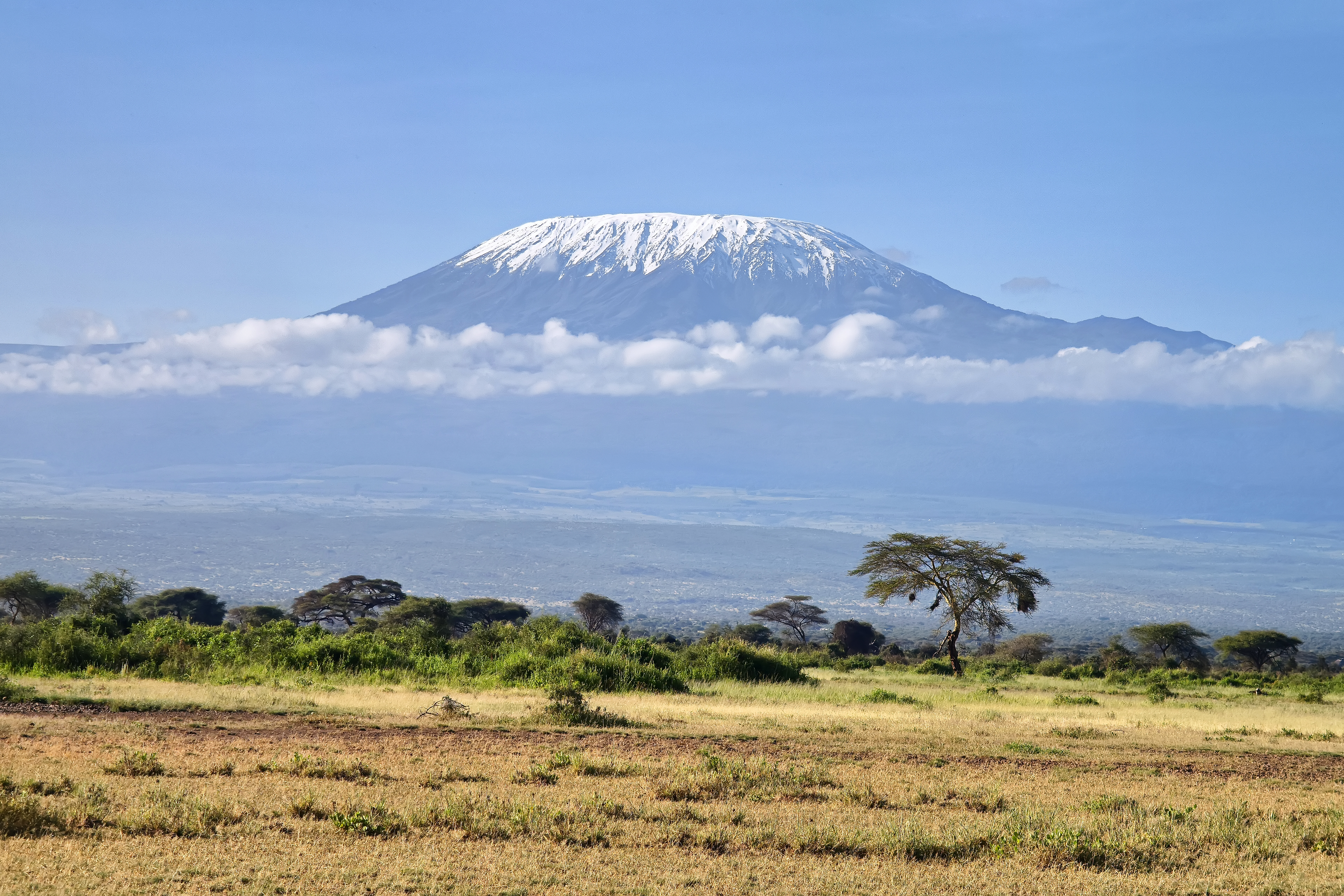 Kilimanjaro — Tripz