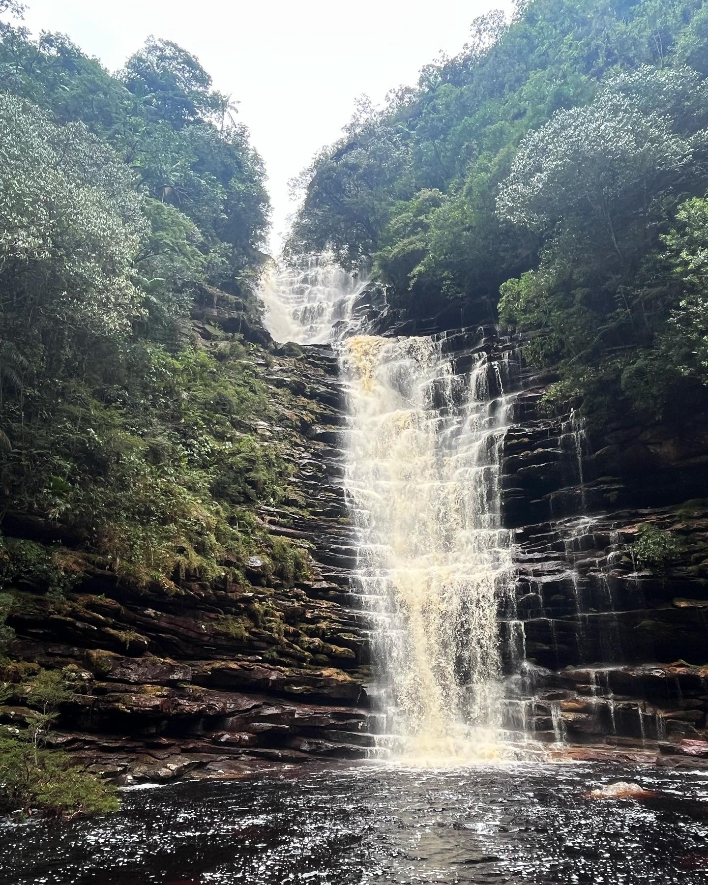Fumaça por baixo — Tripz