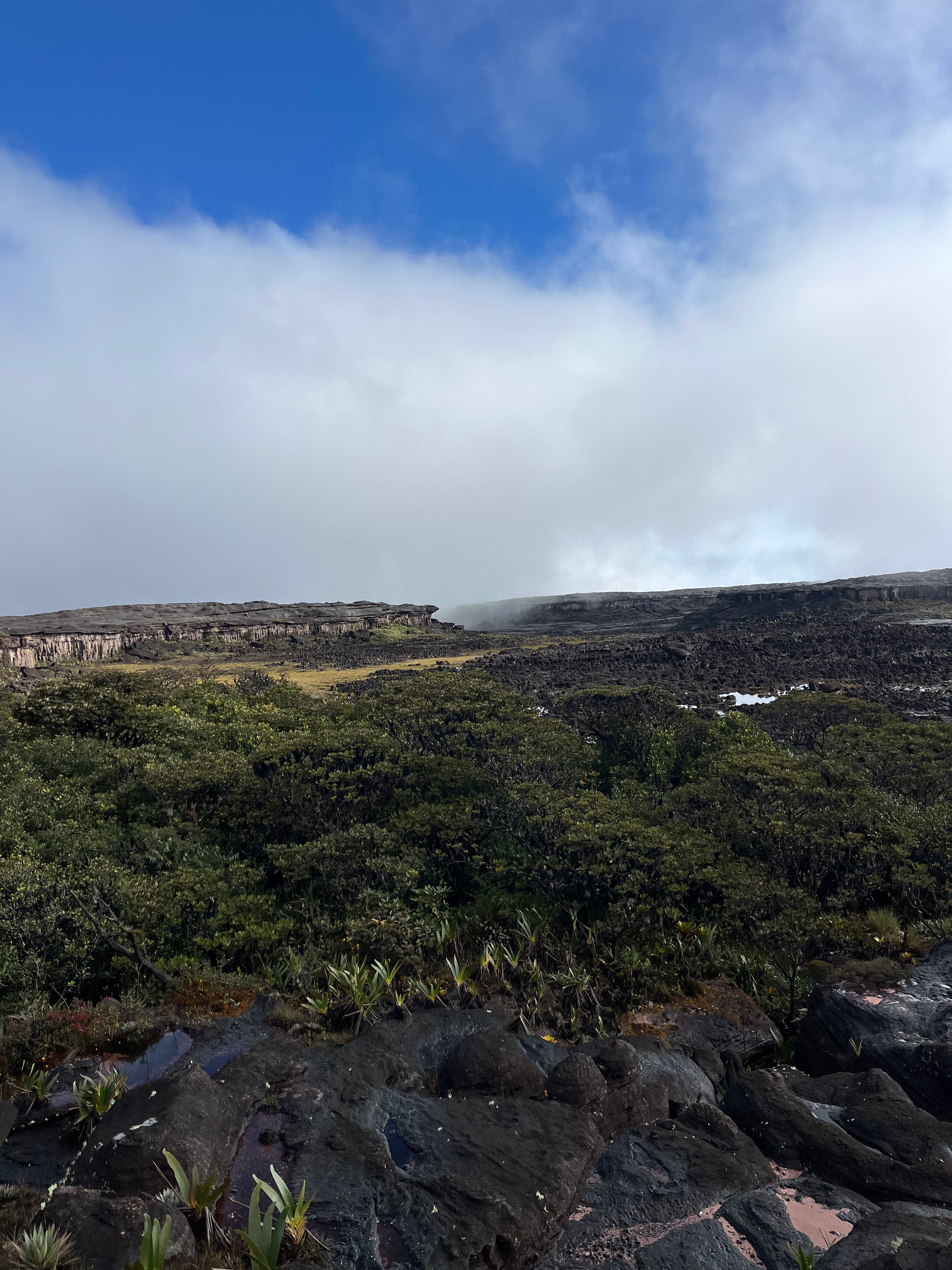 Foto 8 da expedição Monte Roraima — Tripz