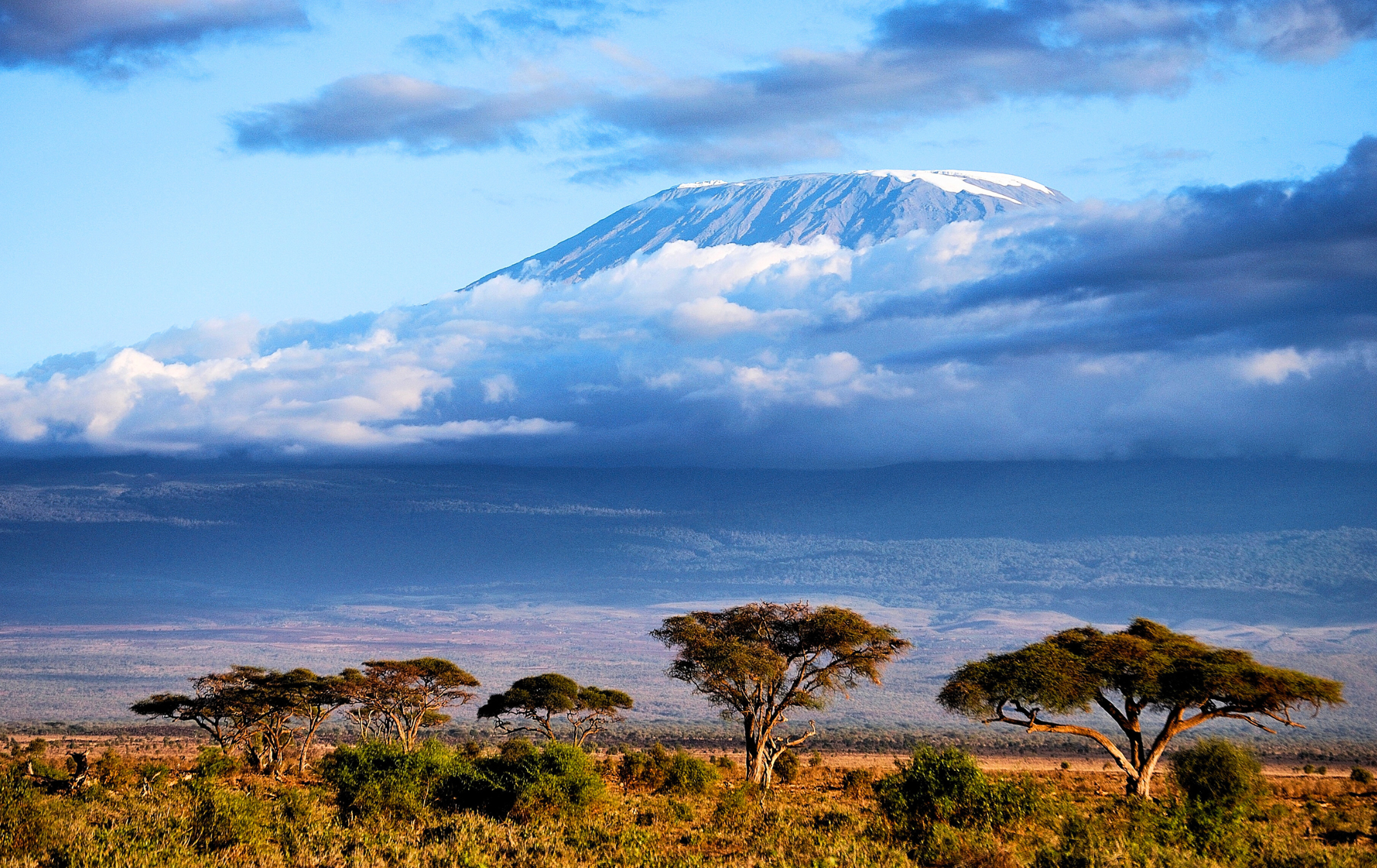 Kilimanjaro
