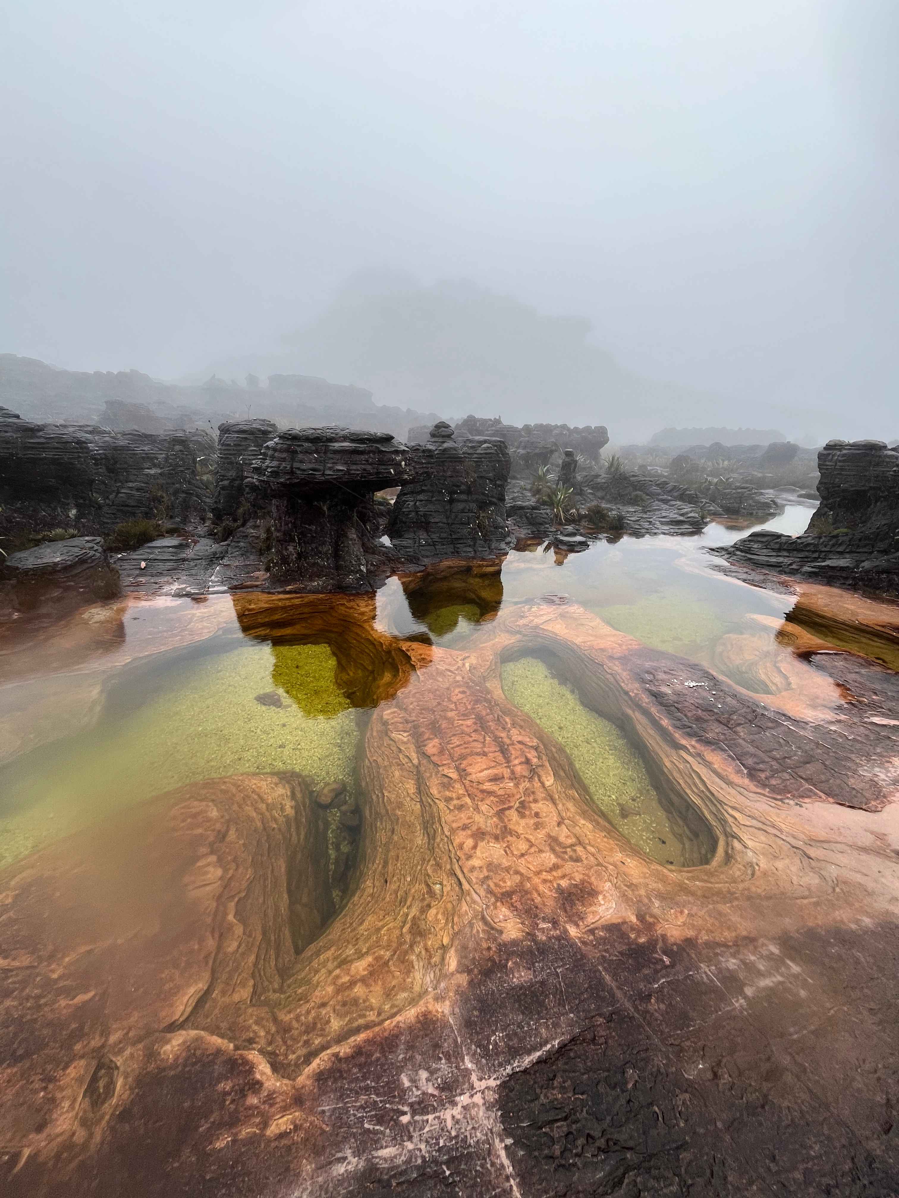 Foto 9 da expedição Monte Roraima — Tripz